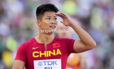 南宫娱乐-陕西队全力拼搏，夺下胜利皇冠