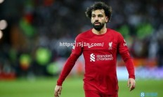 南宫娱乐-萨拉赫拼尽全力，埃及队成功晋级八强