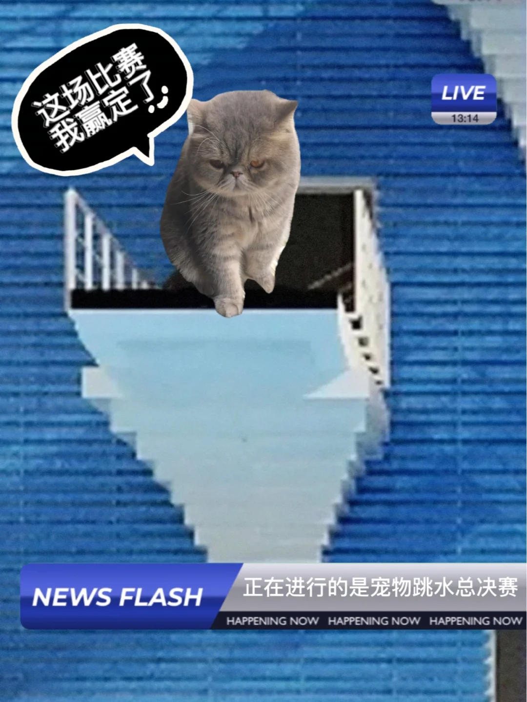 意大利跳水选手巧夺金牌，技高一筹