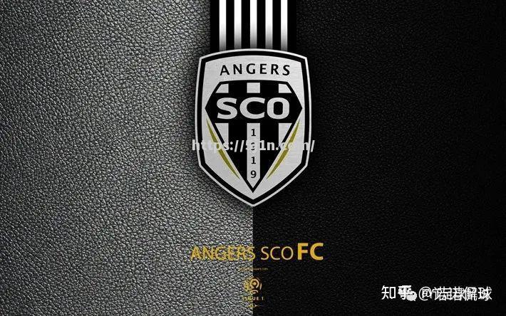 圣埃蒂安迎来好消息,提升士气 圣埃蒂安迎来好消息,提升士气